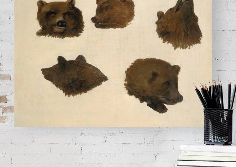 Portraits of Two Grizzly Bears From Life 1839-1840 by IStockHistory com