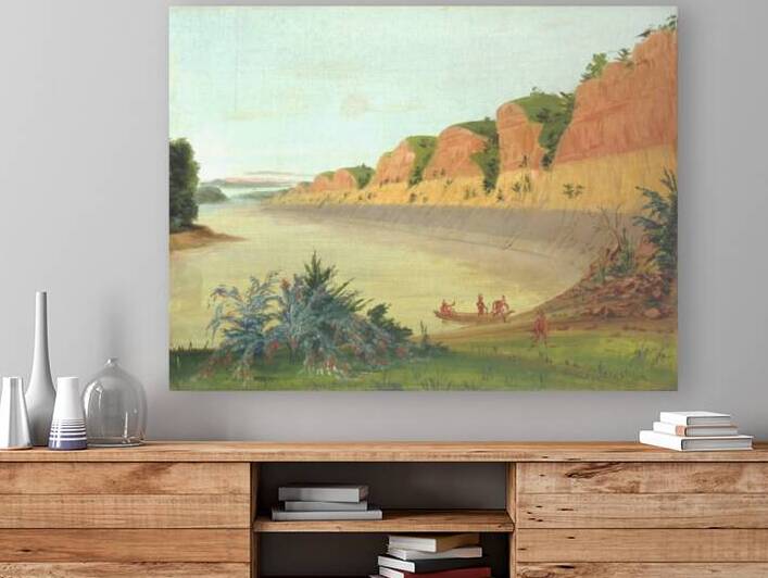 South Side Of Buffalo Island Showing Buffalo Berries In The Foreground 1832 by IStockHistory com