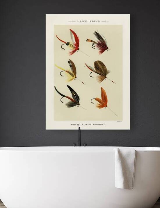 Lake Flies  by IStockHistory com