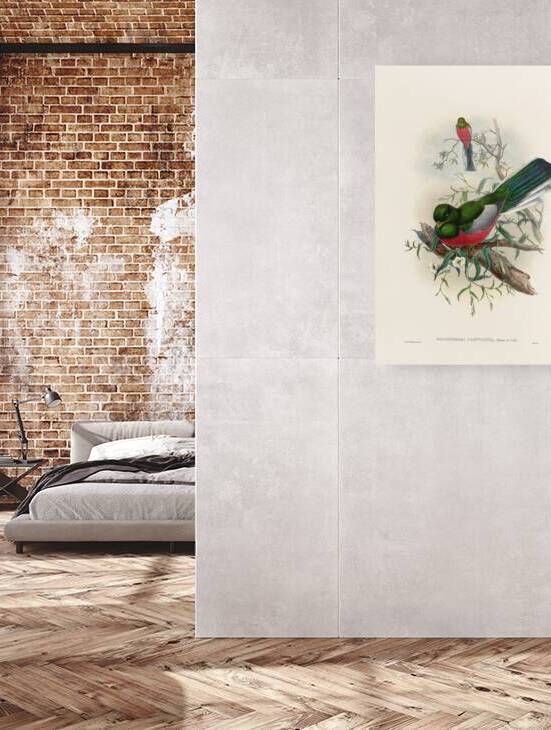 John Gould trogons 037 by IStockHistory com