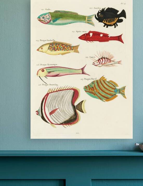 Colourful and surreal illustrations of fishes found in Moluccas Indonesia and the East Indies by Louis Renard 1678 -1746 from Histoire naturelle des plus rares curiositez de la mer des Indes 1754. by IStockHistory com