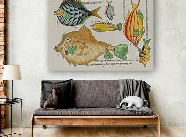 Colourful and surreal illustrations of fishes found in Moluccas Indonesia and the East Indies by Louis Renard 1678 -1746 from Histoire naturelle des plus rares curiositez de la mer des Indes 1754. by IStockHistory com