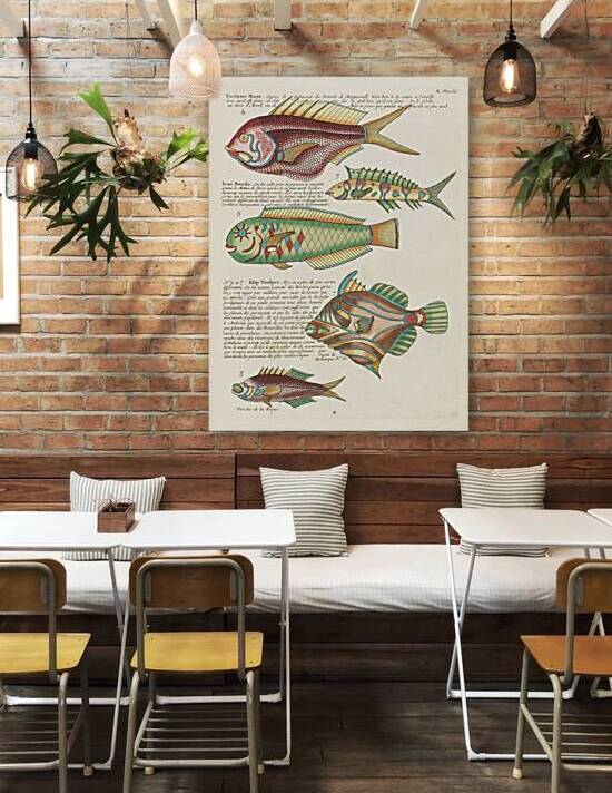 Colourful and surreal illustrations of fishes found in Moluccas Indonesia and the East Indies by Louis Renard 1678 -1746 from Histoire naturelle des plus rares curiositez de la mer des Indes 1754. by IStockHistory com