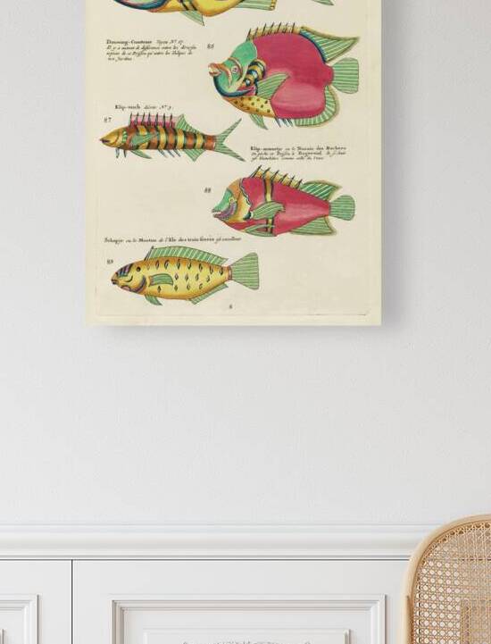 Colourful and surreal illustrations of fishes found in Moluccas Indonesia and the East Indies by Louis Renard 1678 -1746 from Histoire naturelle des plus rares curiositez de la mer des Indes 1754. by IStockHistory com