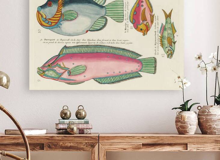 Colourful and surreal illustrations of fishes found in Moluccas Indonesia and the East Indies by Louis Renard 1678 -1746 from Histoire naturelle des plus rares curiositez de la mer des Indes 1754. by IStockHistory com