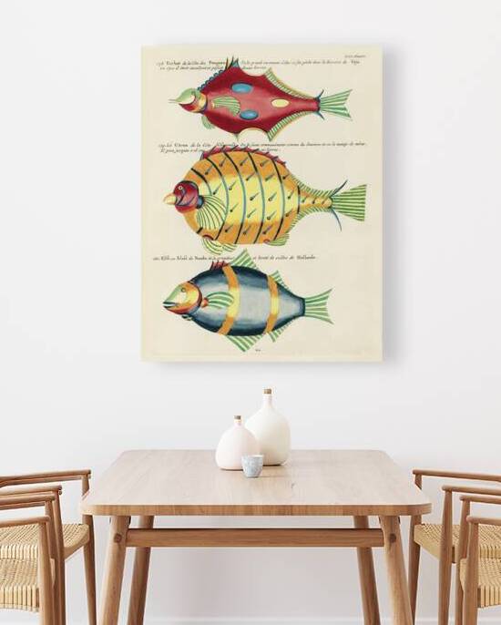 Colourful and surreal illustrations of fishes found in Moluccas Indonesia and the East Indies by Louis Renard 1678 -1746 from Histoire naturelle des plus rares curiositez de la mer des Indes 1754. by IStockHistory com