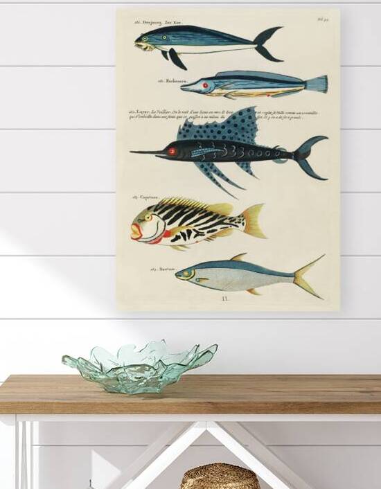 Colourful and surreal illustrations of fishes found in Moluccas Indonesia and the East Indies by Louis Renard 1678 -1746 from Histoire naturelle des plus rares curiositez de la mer des Indes 1754. by IStockHistory com