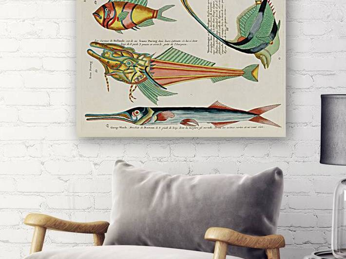 Colourful and surreal illustrations of fishes found in Moluccas Indonesia and the East Indies by Louis Renard 1678 -1746 from Histoire naturelle des plus rares curiositez de la mer des Indes 1754. by IStockHistory com