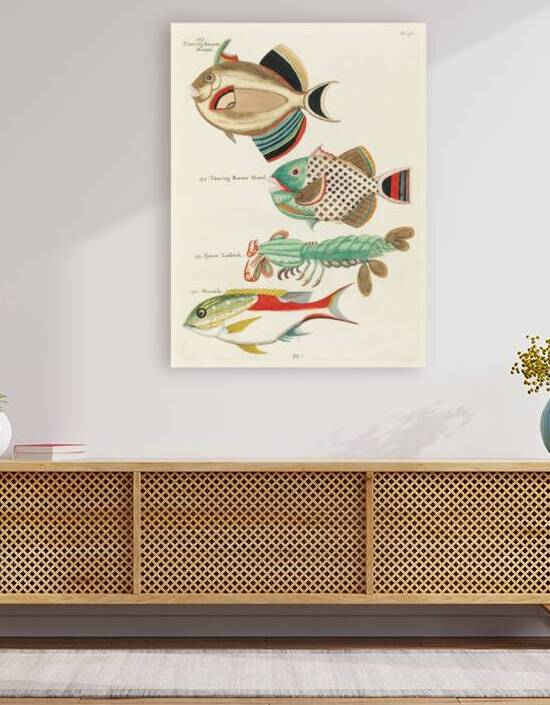 Colourful and surreal illustrations of fishes found in Moluccas Indonesia and the East Indies by Louis Renard 1678 -1746 from Histoire naturelle des plus rares curiositez de la mer des Indes 1754. by IStockHistory com