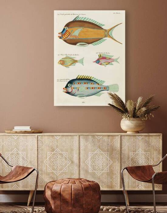 Colourful and surreal illustrations of fishes found in Moluccas Indonesia and the East Indies by Louis Renard 1678 -1746 from Histoire naturelle des plus rares curiositez de la mer des Indes 1754. by IStockHistory com