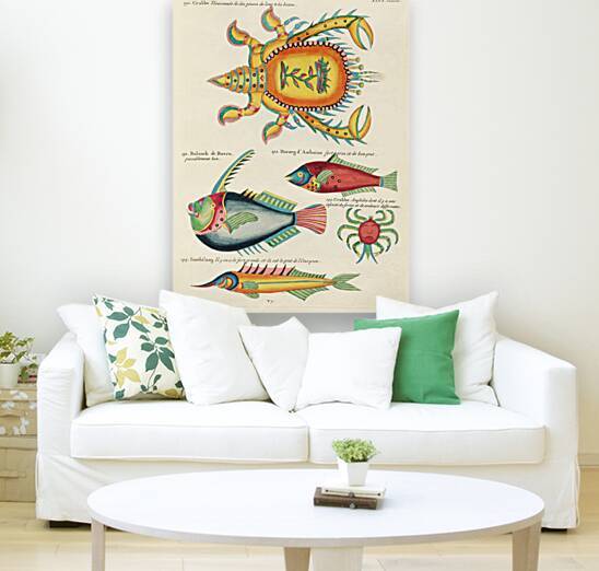 Colourful and surreal illustrations of fishes and lobster found in Moluccas Indonesia and the East Indies by Louis Renard 1678 -1746 from Histoire naturelle des plus rares curiositez de la mer des Indes 1754. by IStockHistory com