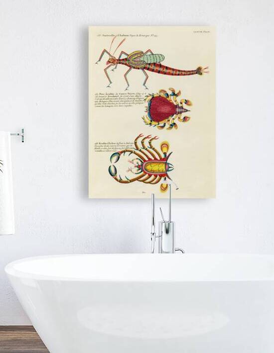 Colourful and surreal illustrations of fishes and crabs found in Moluccas Indonesia and the East Indies by Louis Renard 1678 -1746 from Histoire naturelle des plus rares curiositez de la mer des Indes 1754. by IStockHistory com