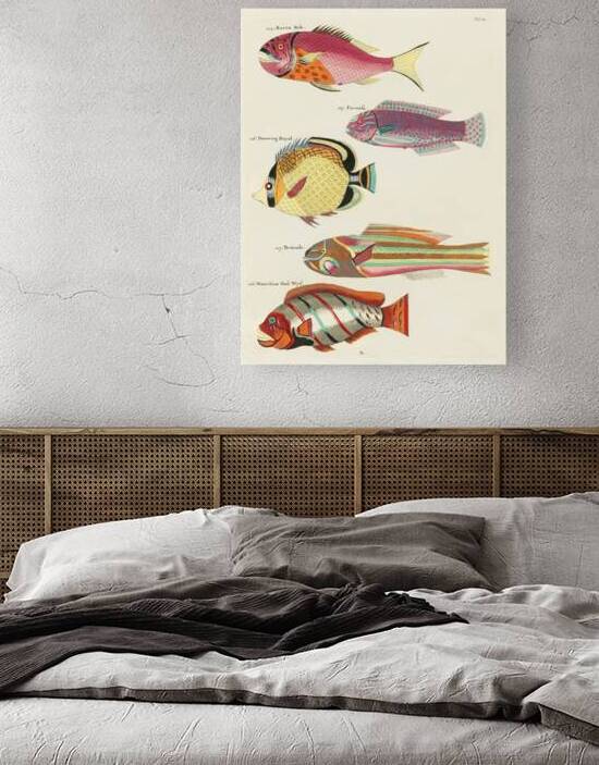 Colourful and surreal illustrations of fishes found in Moluccas Indonesia and the East Indies by Louis Renard 1678 -1746 from Histoire naturelle des plus rares curiositez de la mer des Indes 1754. by IStockHistory com