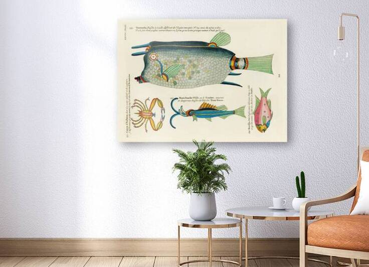 Colourful and surreal illustrations of fishes and crab found in Moluccas Indonesia and the East Indies by Louis Renard 1678 -1746 from Histoire naturelle des plus rares curiositez de la mer des Indes 1754. by IStockHistory com