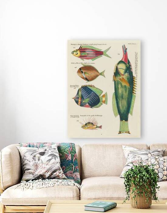 Colourful and surreal illustrations of fishes found in Moluccas Indonesia and the East Indies by Louis Renard 1678 -1746 from Histoire naturelle des plus rares curiositez de la mer des Indes 1754. by IStockHistory com