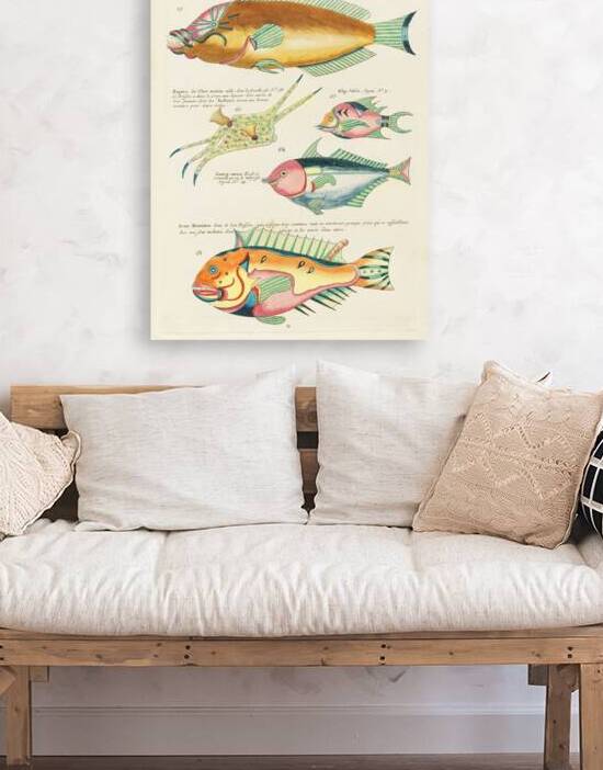 Colourful and surreal illustrations of fishes found in Moluccas Indonesia and the East Indies by Louis Renard 1678 -1746 from Histoire naturelle des plus rares curiositez de la mer des Indes 1754. by IStockHistory com