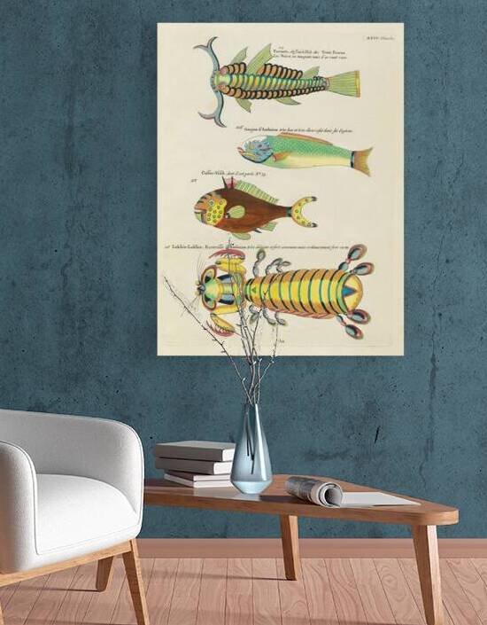 Colourful and surreal illustrations of fishes and other marine life found in Moluccas Indonesia and the East Indies by Louis Renard 1678 -1746 from Histoire naturelle des plus rares curiositez de la mer des Indes 1754. by IStockHistory com