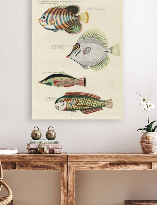 Colourful and surreal illustrations of fishes found in Moluccas Indonesia and the East Indies by Louis Renard 1678 -1746 from Histoire naturelle des plus rares curiositez de la mer des Indes 1754. by IStockHistory com