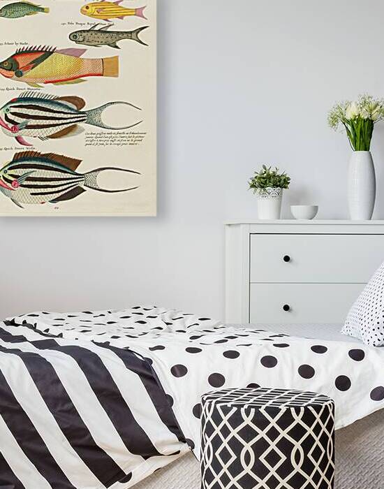 Colourful and surreal illustrations of fishes found in Moluccas Indonesia and the East Indies by Louis Renard 1678 -1746 from Histoire naturelle des plus rares curiositez de la mer des Indes 1754. by IStockHistory com