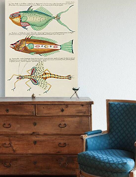 Colourful and surreal illustrations of fishes found in Moluccas Indonesia and the East Indies by Louis Renard 1678 -1746 from Histoire naturelle des plus rares curiositez de la mer des Indes 1754. by IStockHistory com