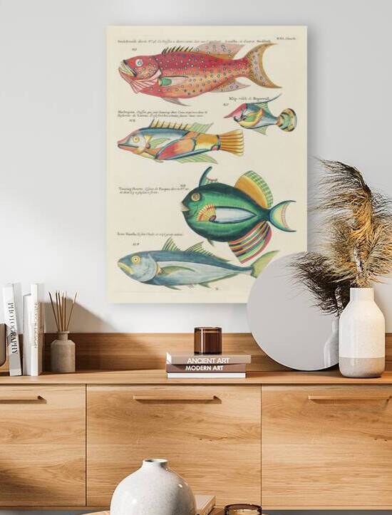 Colourful and surreal illustrations of fishes found in Moluccas Indonesia and the East Indies by Louis Renard 1678 -1746 from Histoire naturelle des plus rares curiositez de la mer des Indes 1754. by IStockHistory com