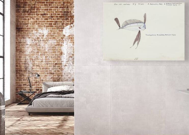 Antique Ribbonfish South Pacific Fishes by Frank Edward Clarke 1849-1899.  by IStockHistory com