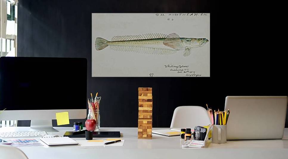 Antique fish crapatulus novaezealandiae sand stargazer South Pacific Fishes by Frank Edward Clarke 1849-1899.  by IStockHistory com