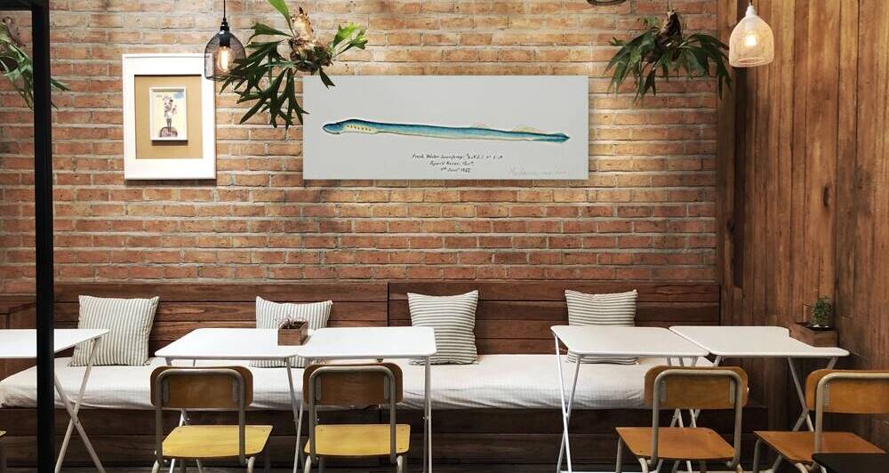 Antique fish geotria australis fresh water lamprey South Pacific Fishes by Frank Edward Clarke 1849-1899.  by IStockHistory com