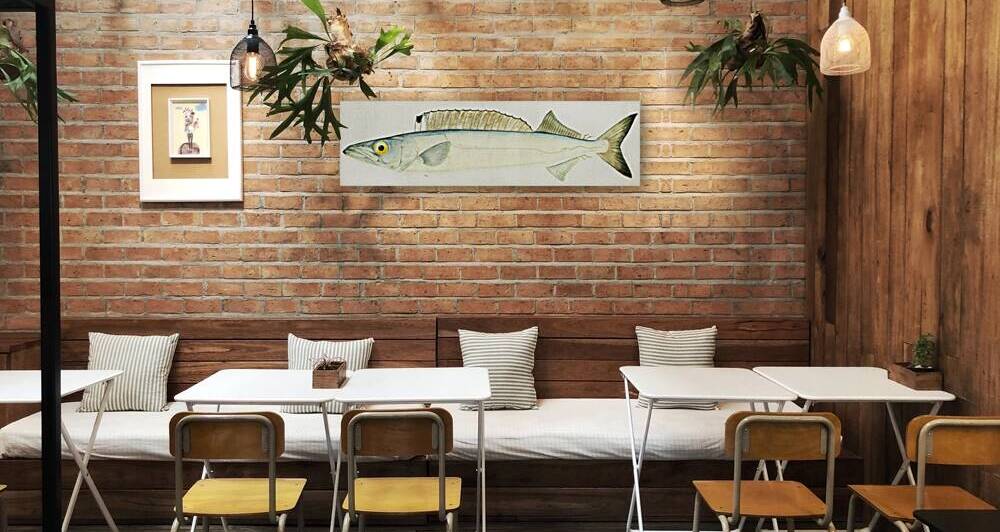 Antique fish Rexea furcifera Waite South Pacific Fishes by Frank Edward Clarke 1849-1899.  by IStockHistory com