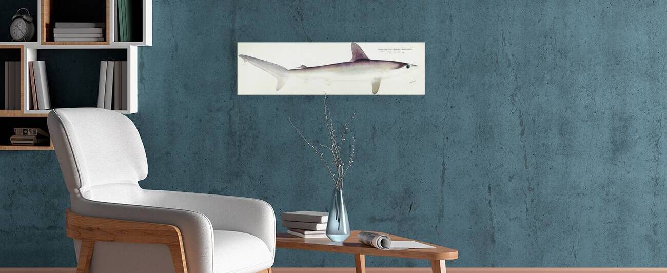 Antique fish South Pacific Fishes by Frank Edward Clarke 1849-1899.  by IStockHistory com