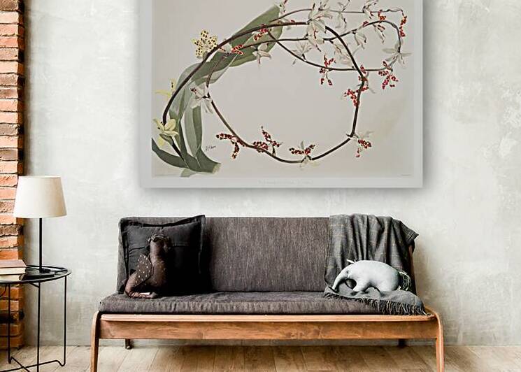 Renanthera lowii from Reichenbachia Orchids 1888-1894 illustrated by Frederick Sander 1847-1920.  by IStockHistory com