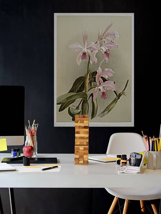 Cattleya victoria regina from Reichenbachia Orchids 1888-1894 illustrated by Frederick Sander 1847-1920.  by IStockHistory com