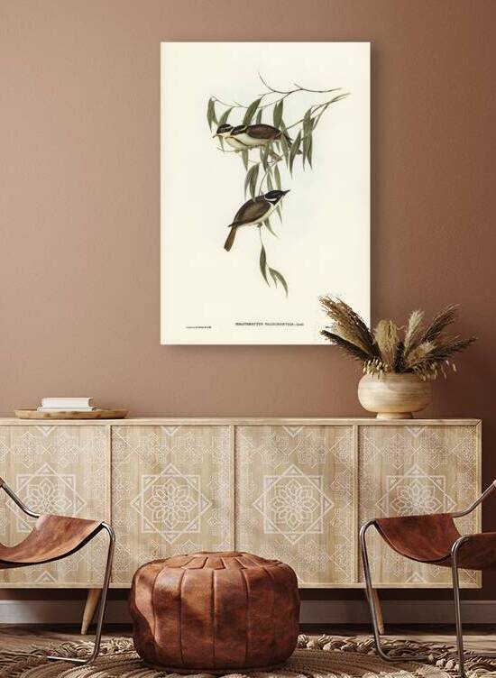 Strong-billed Honey-eater Melithreptus validirostris illustrated by Elizabeth Gould 1804–1841 for John Gould’s 1804-1881 Birds of Australia  by IStockHistory com