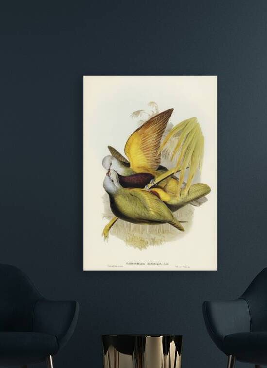 Spotless Gallinule Porzana immaculata illustrated by Elizabeth Gould 1804–1841 for John Gould’s 1804-1881 Birds of Australia  by IStockHistory com