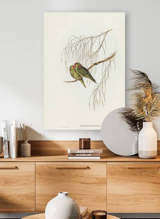 Little Lorikeet Trichoglossus pusillus illustrated by Elizabeth Gould 1804–1841 for John Gould’s 1804-1881 Birds of Australia  by IStockHistory com