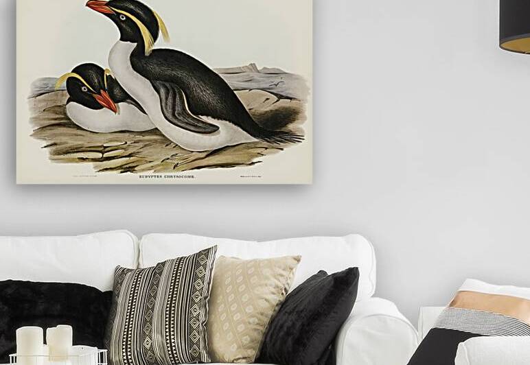 Western Black Cockatoo Calyptorhynchus naso illustrated by Elizabeth Gould 1804–1841 for John Gould’s 1804-1881 Birds of Australia  by IStockHistory com