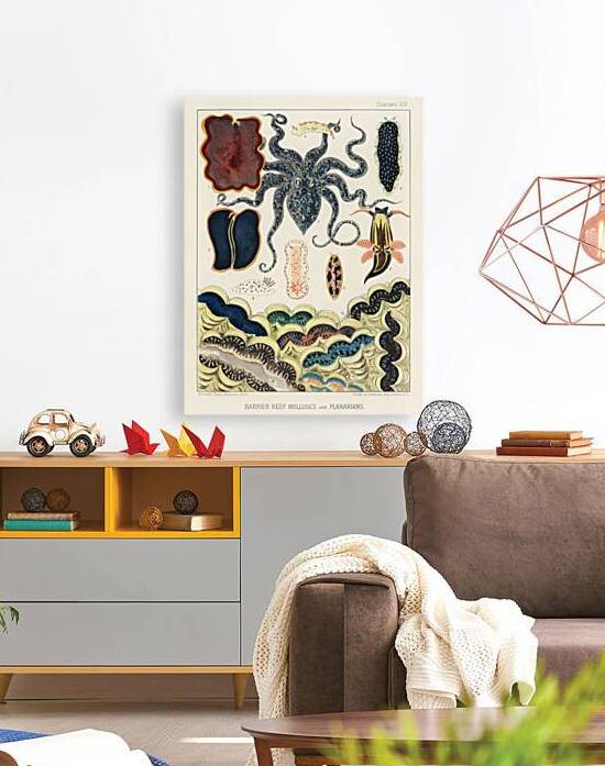 Barrier Reef Molluscs and Planarians from The Great Barrier Reef of Australia 1893 by William Saville-Kent 1845-1908. Fig 1: Flat worm Pseudoceros KentiiFig 2: Planarian Pseudoceros DimidiatusFig 3: Blue spotted Octopus Octopus PictusFig 4: Sea-hare A by IStockHistory com