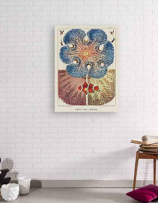 Great Barrier Reef Corals from The Great Barrier Reef of Australia 1893 by William Saville-Kent 1845-1908. Fig 1: RhipidogyraFig 2: Euphyllia rugosaFig 3-6 : Eupyllia glabrescensFig 7 : Pectinia JardineiFig 8-9 : Galaxea EsperiFig 10-12 : Galaxea by IStockHistory com