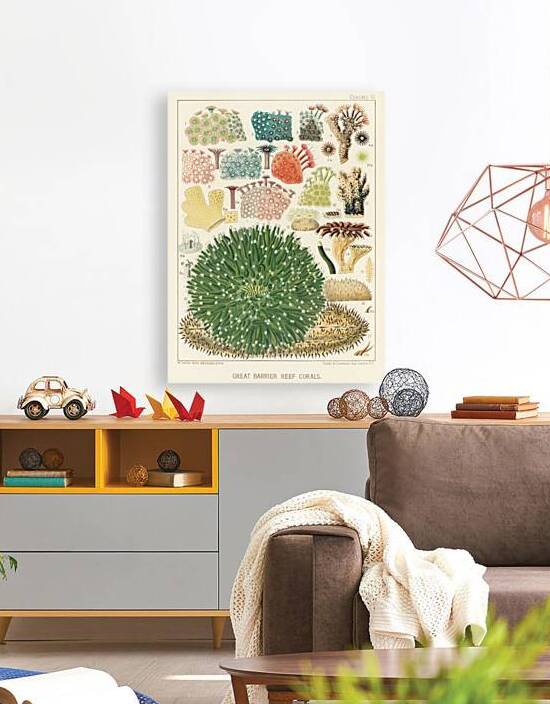 Great Barrier Reef Corals from The Great Barrier Reef of Australia 1893 by William Saville-Kent 1845-1908. Fig 1-5 : Plaesiastroea PeroniiFig 2 : plesiasroea versiporaFig 3 : RhoodaroeaFig 4-5 : Rhodaroea FruticosaFig 6 : Rhodaroea CalicularisFig 7  by IStockHistory com