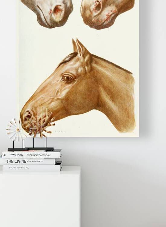 Stomatitis Eruptions Amedeo John Engel Terzi Italian 1872-1956 by IStockHistory com