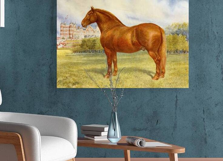 Suffolk Sire Prince Wedgewood Frank Babbage English 1858–1916 by IStockHistory com