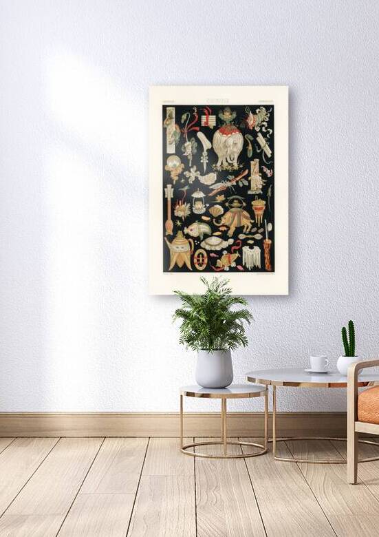 Chinese pattern Lornement Polychrome 1888 by Albert Racinet 1825-1893. 1888 edition. by IStockHistory com