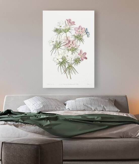 Thick-flowered slender-tube from Edwards Botanical Register 1829-1847  by Sydenham Edwards John Lindley and James Ridgway. by IStockHistory com