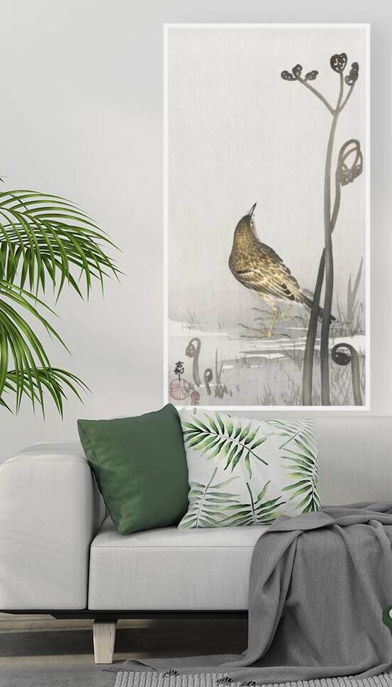 Pipit on a waterfront 1900-1910 by Ohara Koson 1877-1945. by IStockHistory com