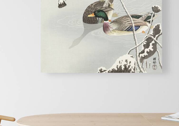 Two Mallards near a Snow-Covered Lotus 1925 - 1936 by Ohara Koson 1877-1945. by IStockHistory com