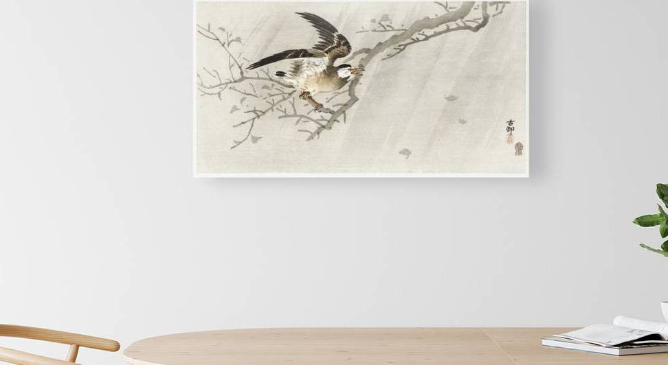 Gray starling in storm 1900 - 1910 by Ohara Koson 1877-1945. by IStockHistory com