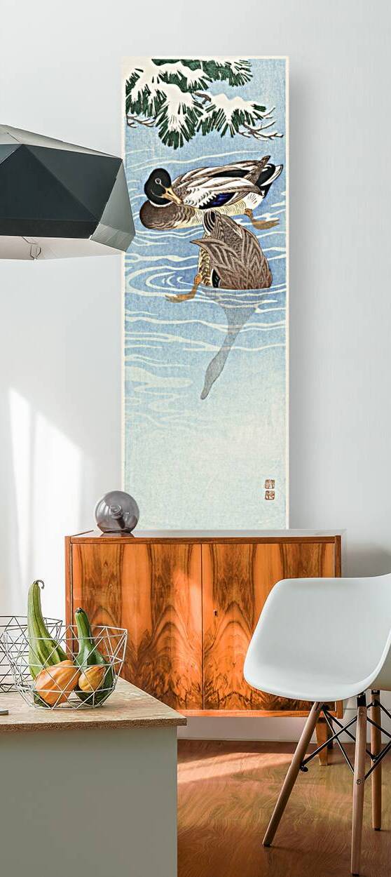 Couple of ducks in the water 1925 - 1936 by Ohara Koson 1877-1945. by IStockHistory com