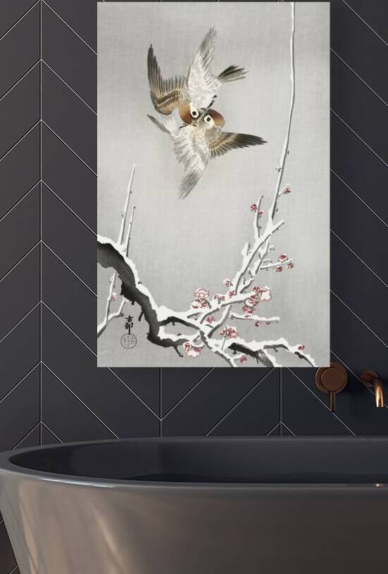 Sparrows and snowy plum tree 1900 - 1936 by Ohara Koson 1877-1945. by IStockHistory com