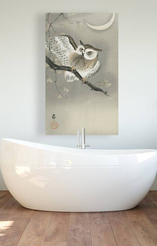 Long-eared owl in ginkgo 1900 - 1930 by Ohara Koson 1877-1945. by IStockHistory com