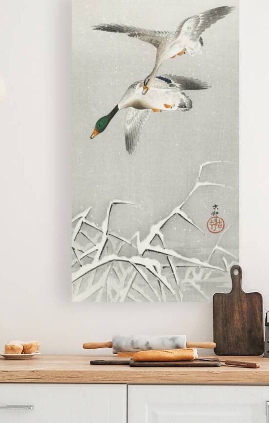 Two wild ducks in flight 1900 - 1936 by Ohara Koson 1877-1945. by IStockHistory com